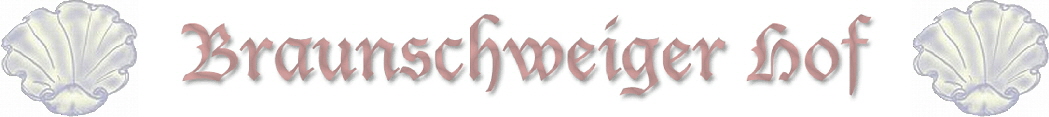 Banner Braunschweiger Neu